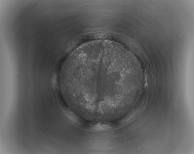 X0000111120270200908111025