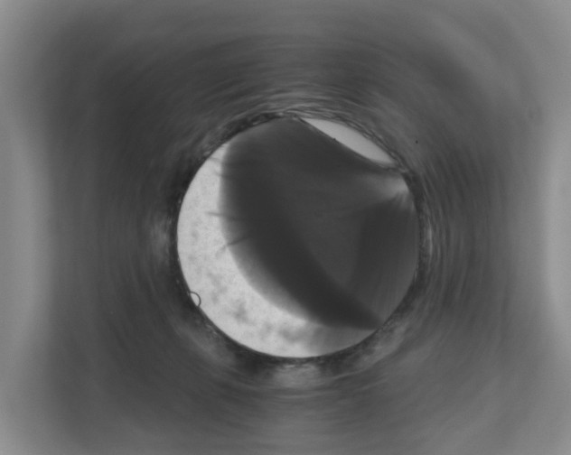 X0000111120271200908111025