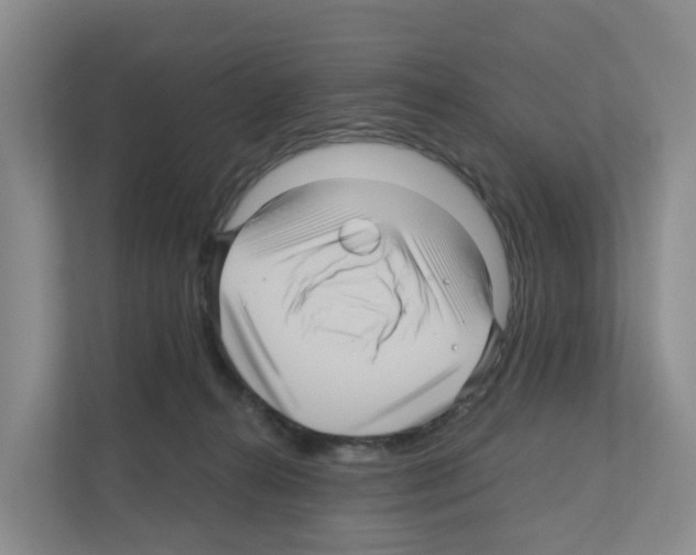X0000111120272200908111025