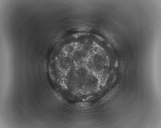 X0000111120273200908111025