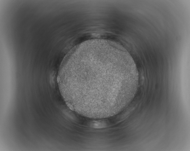 X0000111120275200908111025