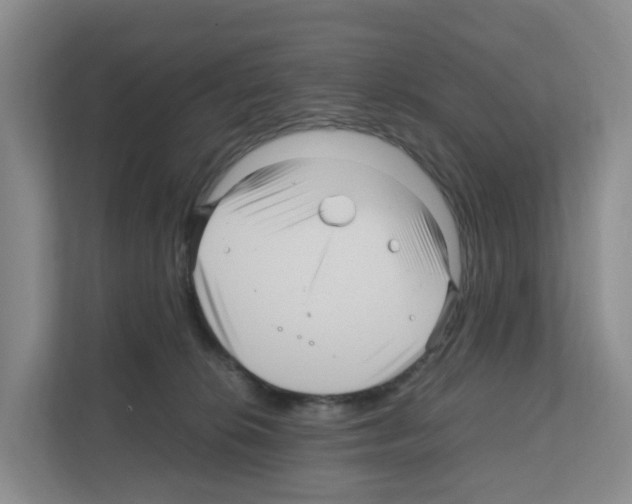 X0000111120276200908111025