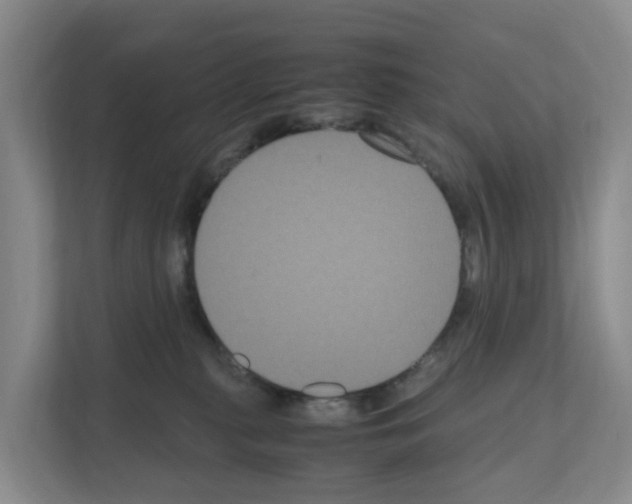 X0000111120279200908111025