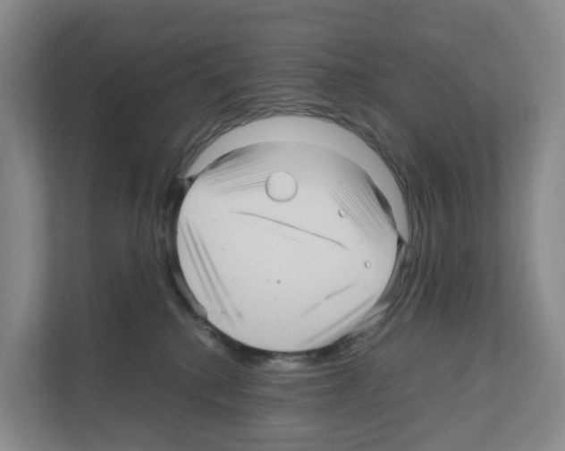 X0000111120280200908111025