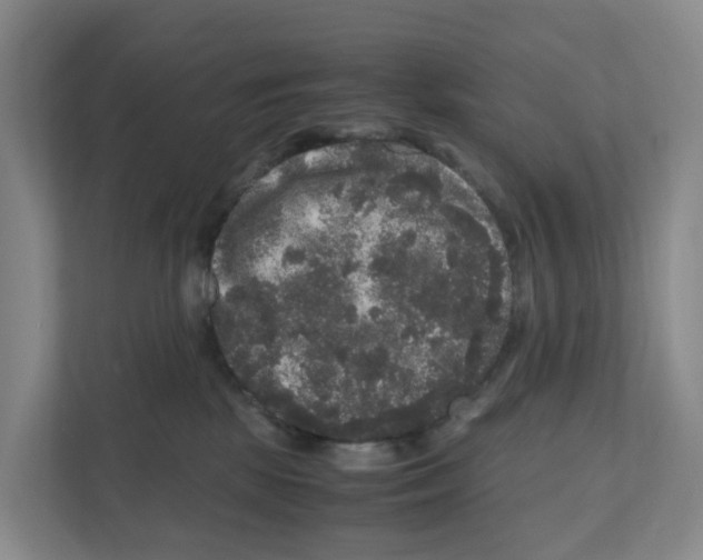 X0000111120281200908111025