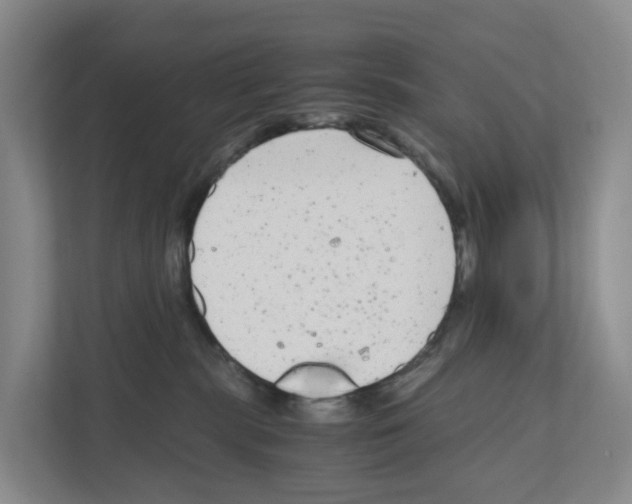 X0000111120283200908111025