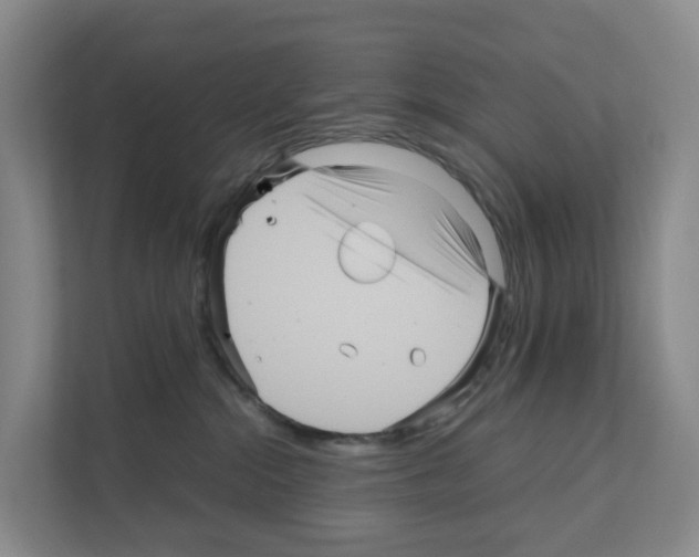 X0000111120284200908111025