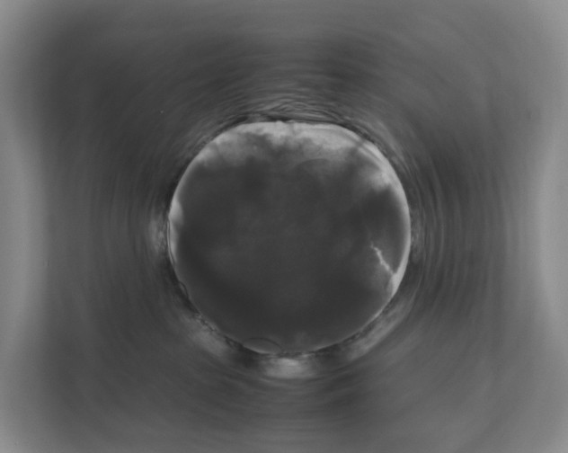 X0000111120285200908111025