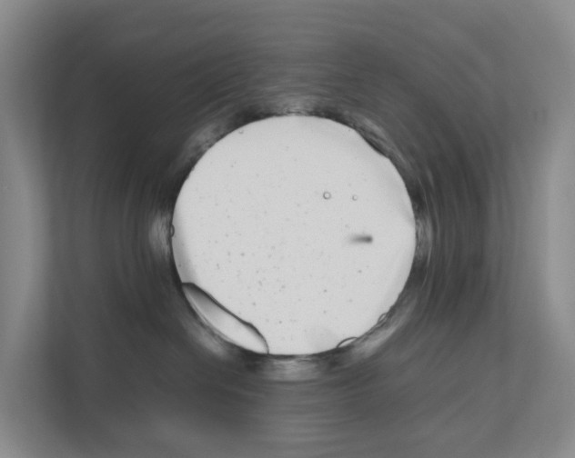 X0000111120286200908111025
