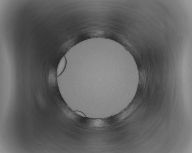 X0000111120287200908111025