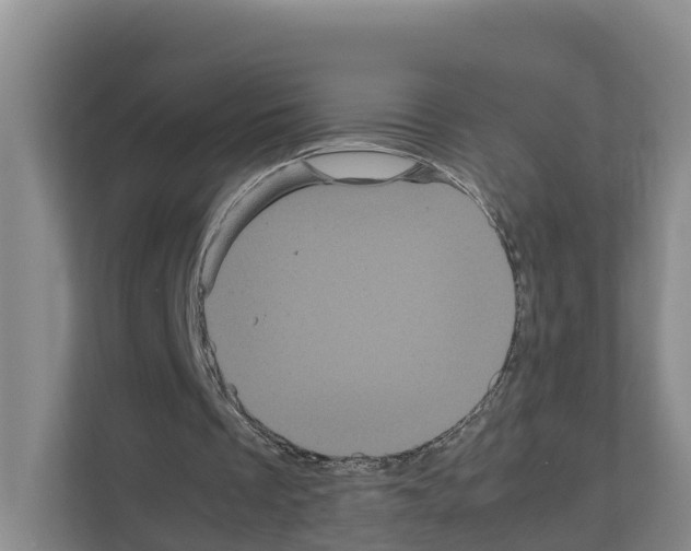 X0000111120289200908111024