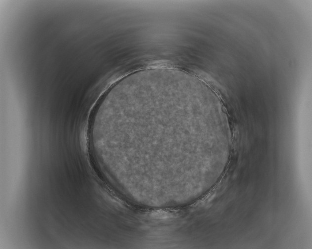 X0000111120290200908111024