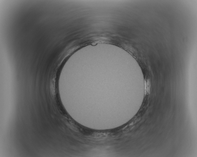 X0000111120291200908111024
