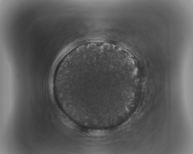 X0000111120293200908111024