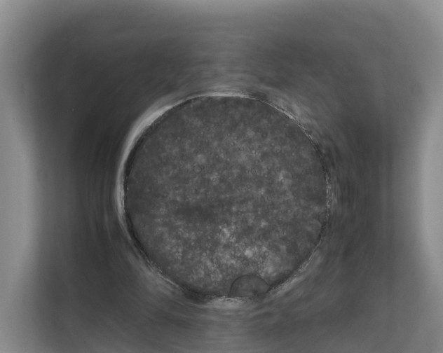 X0000111120294200908111024