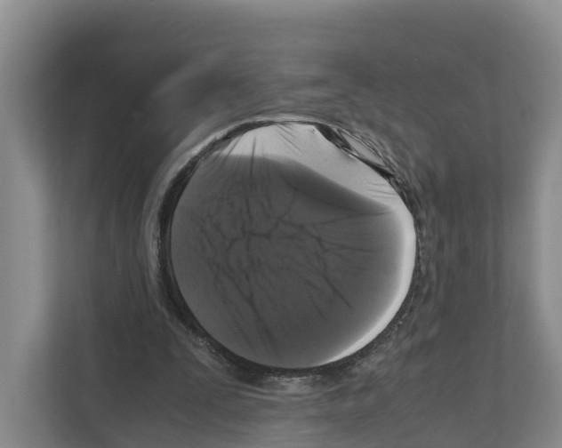 X0000111120295200908111024