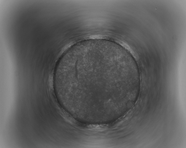 X0000111120297200908111024