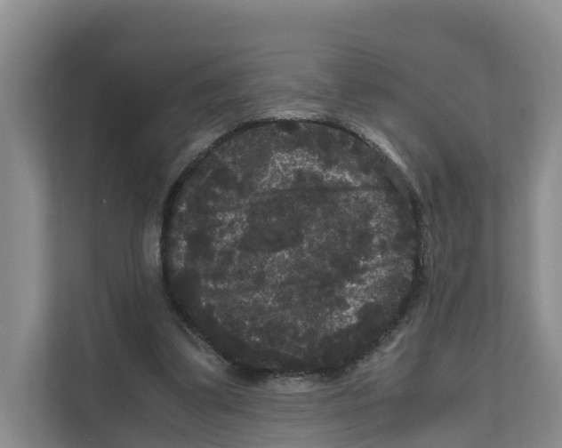 X0000111120299200908111024