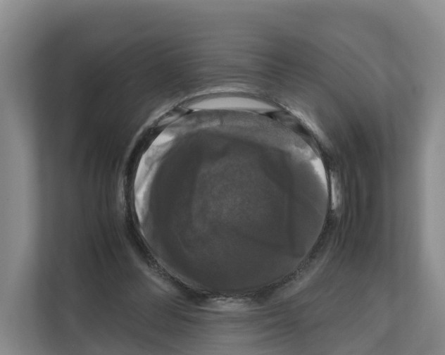 X0000111120300200908111024