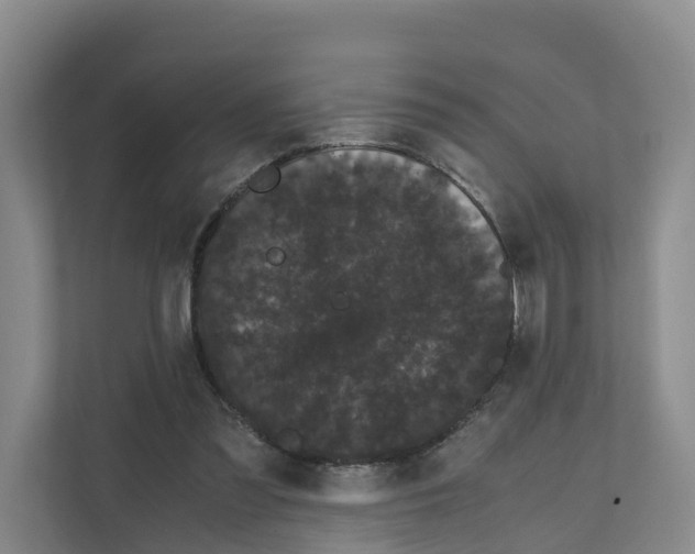 X0000111120301200908111024