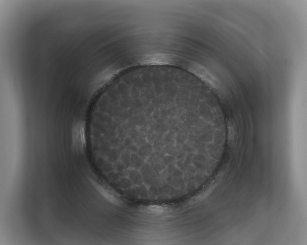 X0000111120302200908111024