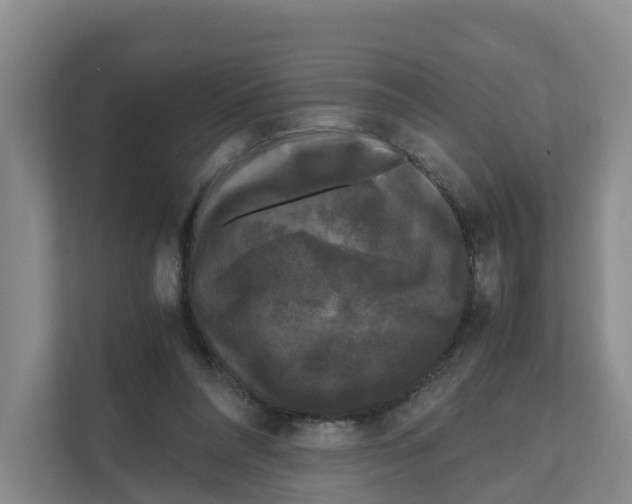 X0000111120304200908111024
