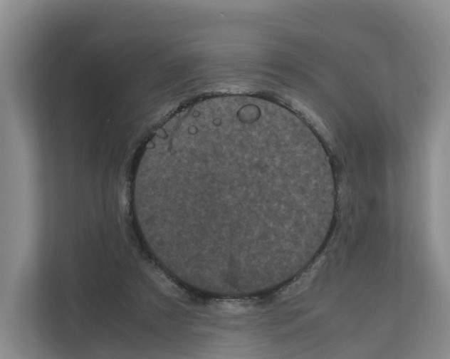 X0000111120305200908111024