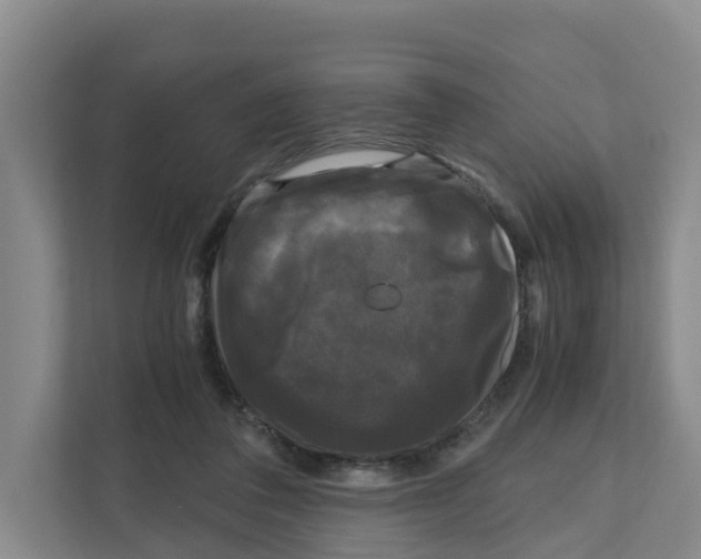 X0000111120308200908111024