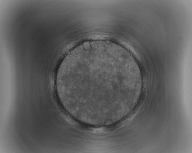 X0000111120309200908111024