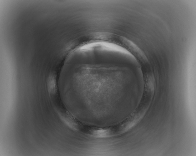 X0000111120312200908111024