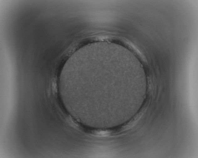 X0000111120313200908111024