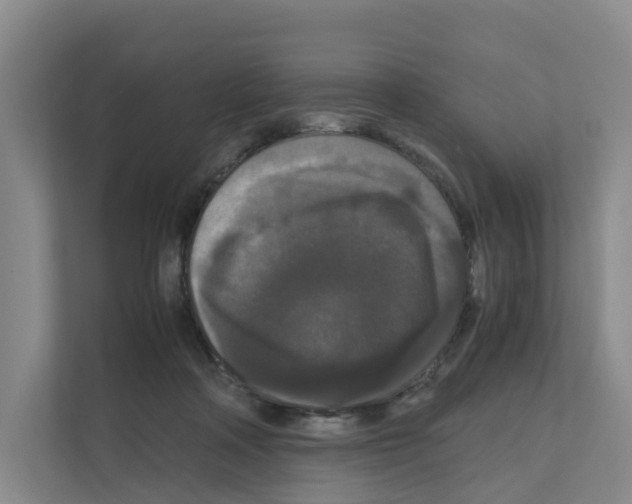 X0000111120314200908111024