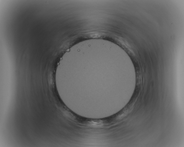 X0000111120317200908111024