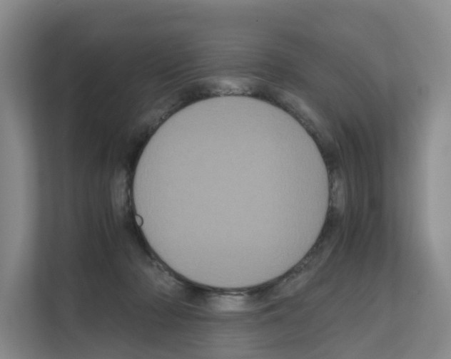 X0000111120318200908111024