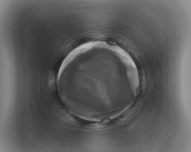 X0000111120320200908111024