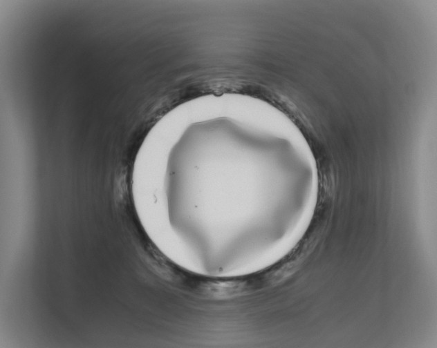 X0000111120323200908111024