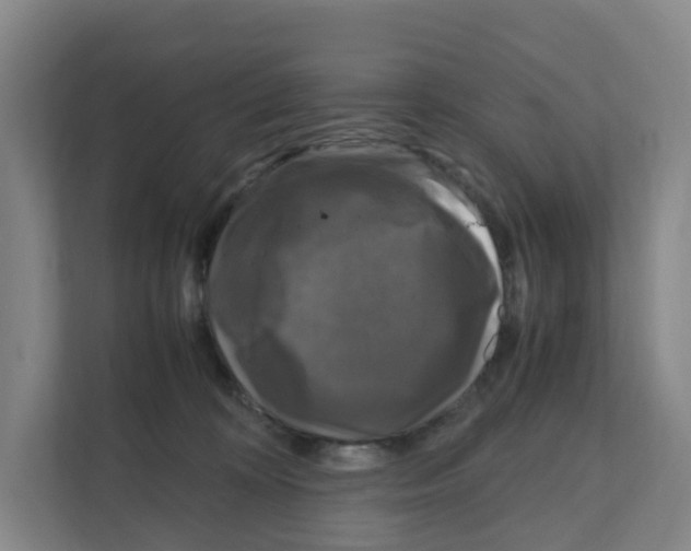 X0000111120324200908111024