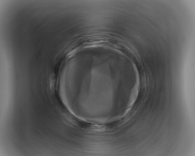X0000111120328200908111024