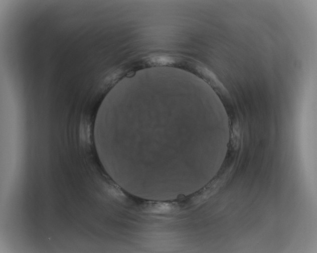 X0000111120330200908111024