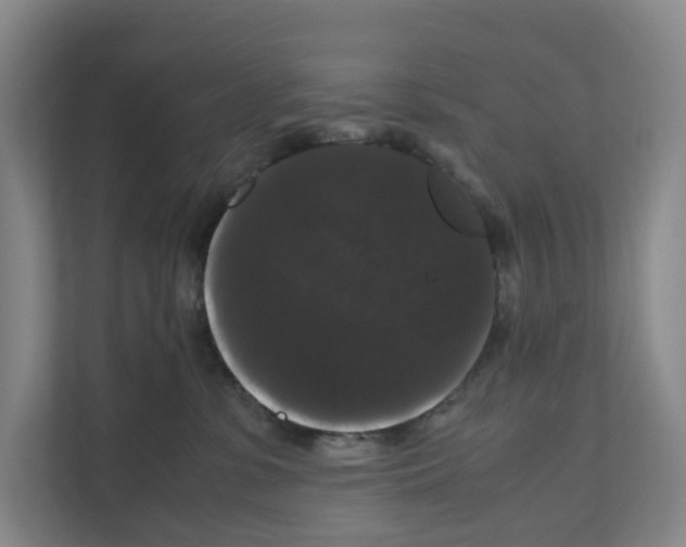 X0000111120331200908111024