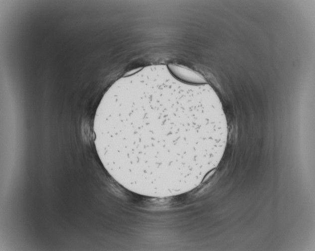 X0000111120335200908111024