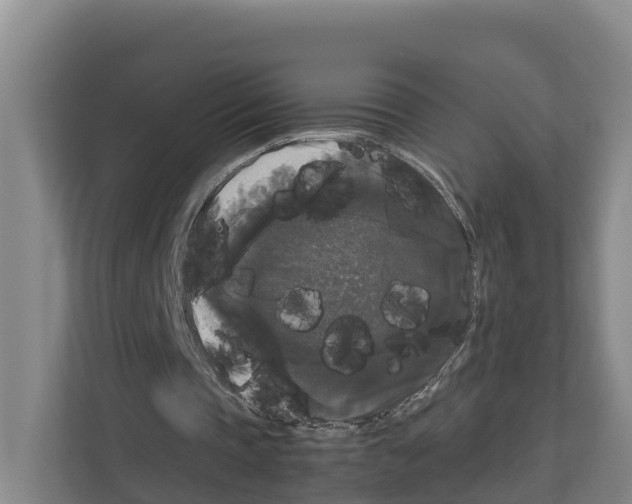 X0000111120337200908111023