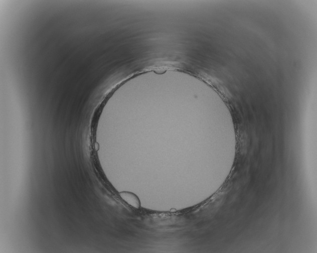 X0000111120338200908111023