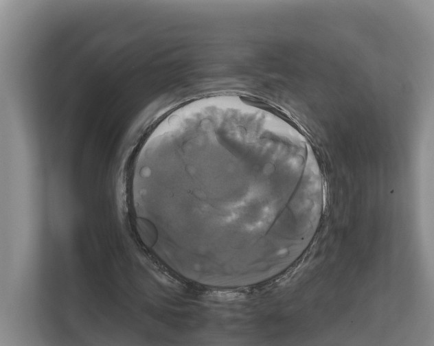 X0000111120339200908111023