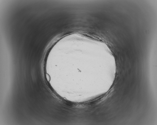X0000111120341200908111023