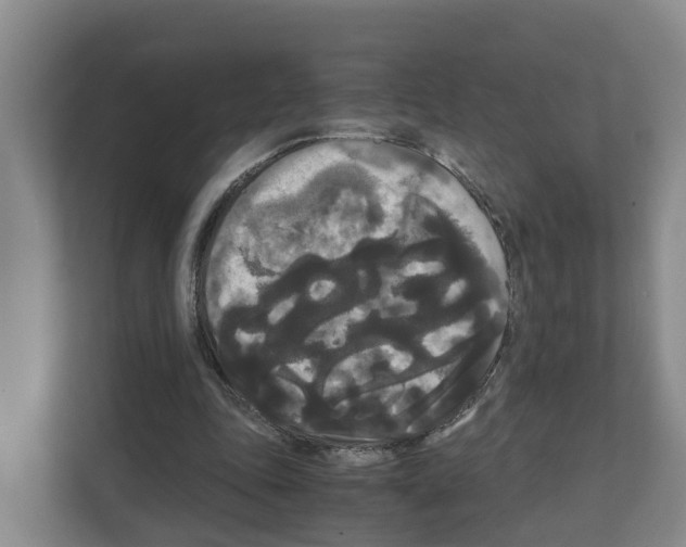 X0000111120343200908111023