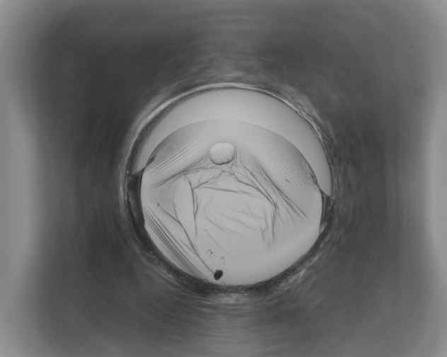 X0000111120344200908111023