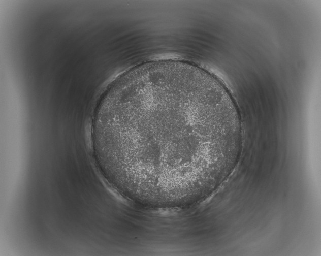 X0000111120345200908111023
