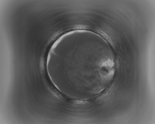 X0000111120347200908111023