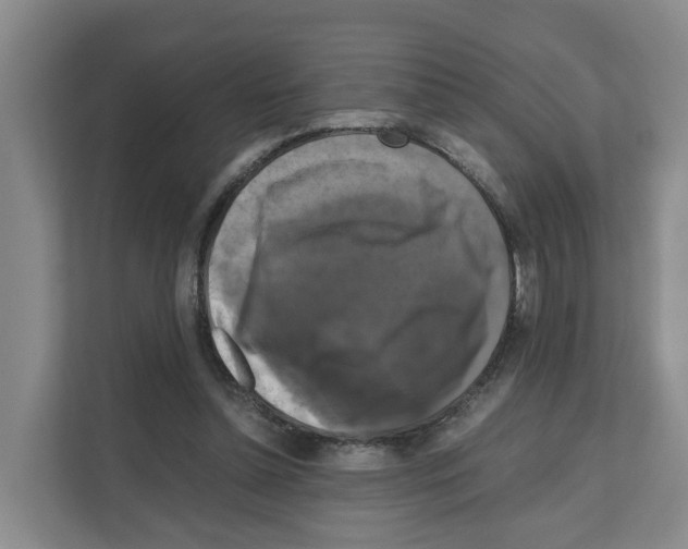 X0000111120348200908111023